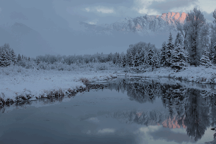 5DIV0024SchwabacherHoriz