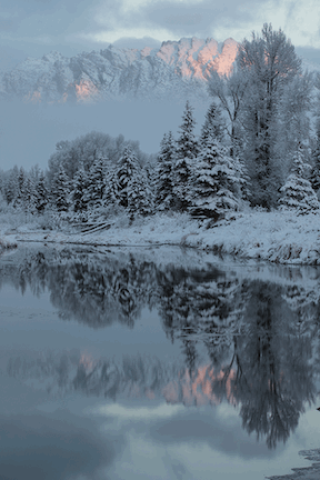 5DIV0029SchwabacherVertical