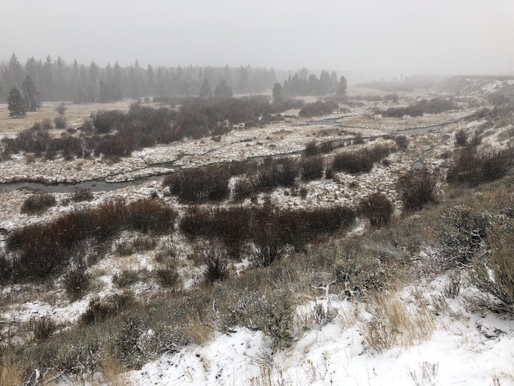 BlacktailPondsSnowing