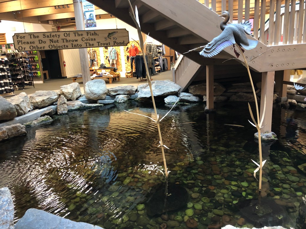 1B7C7B0D-C9B3-4509-B5F8-1F6B27AA7BFC