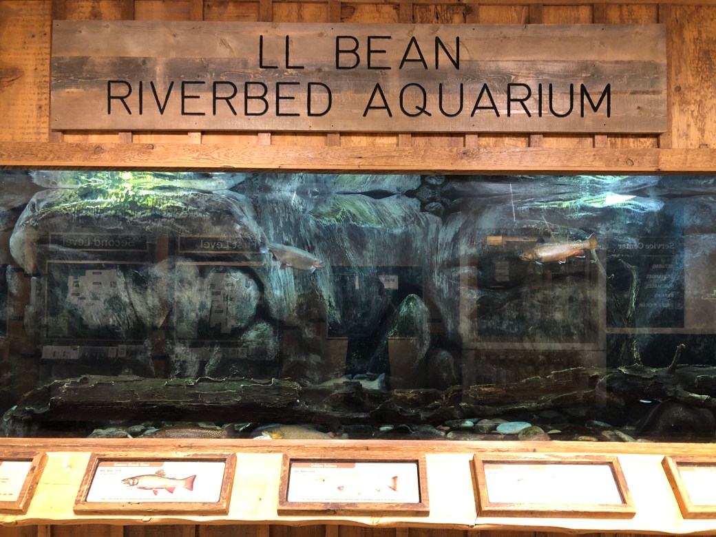 6E830F1D-212C-4FE7-8792-47D3A4A9835F