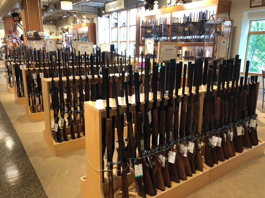 C1BE8543-6356-4F79-9EE9-7E04F77BB55E