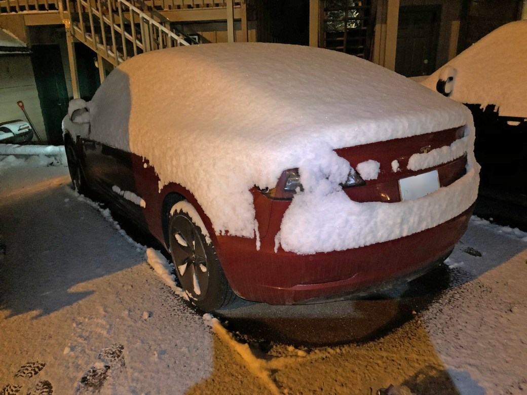 SnowCoveredTesla.JPG